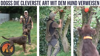 Einfach Verweisen mit DOGSS Dog Search System  Hundeschule UB [upl. by Atiuqahs25]