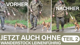 Mein Hund soll nie mehr an der Leine ziehen und zerren  Hundeschule UB [upl. by Newol95]