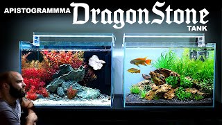 Opposite DRAGONSTONE Aquarium AMAZING Aquascape Tutorial w Apistogramma Cacatuoides [upl. by Assennej]