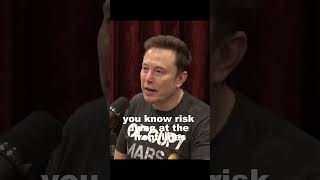 Joe Rogan amp Elon Musk on Liz Cheney jre elonmusk shorts [upl. by Aihsilef]