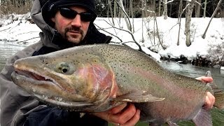 Float Fishing Steelhead [upl. by Xad]