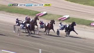 Grand Premio Della Lotteria 2019 Heat 3 Bel Avis [upl. by Dewar854]