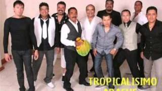 EL TEMA DE TROPICALISIMO APACHE EN VIVO [upl. by Tjader]