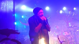 Eluveitie  Inis Mona  live  Das Zelt Schützenmatte Olten 4316 [upl. by Earezed]