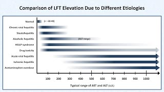 Interpretation of LFTs Liver Function Tests [upl. by Vookles931]