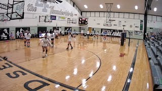 Edsel Ford JV Volleyball VS Carlson [upl. by Lerak]