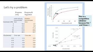 Michaelis Menten and Lineweaver Burk plots [upl. by Hluchy149]