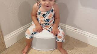 CheerTry 3 in 1 Toddler Potty Training Toilet amp Detachable Training Seat amp Sturdy Step Stool Review [upl. by Anehta]