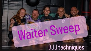 Waiter guard sweep BJJ techniques jiujitsu bjj grappling bjjtechniques [upl. by Retlaw]