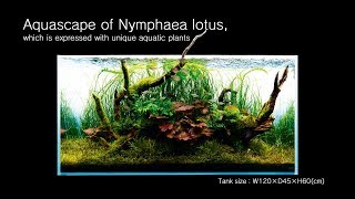 ADAview Aquascape of Nymphaea lotus which is expressed with unique aquatic plants [upl. by Carilyn]