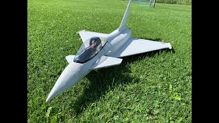 RC Causemann Eurofighter XL with functioning canards build video [upl. by Mahalia734]