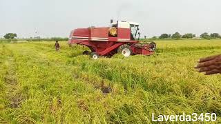 Laverda 3450 Harvester machine in Pakistan peerwaseem6271 [upl. by Katheryn]