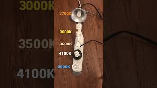 5000K Vs 4100K Vs 3500K Vs 3000K Vs 2700K CFL Comparison shorts cfl colortemperature [upl. by Eifos]