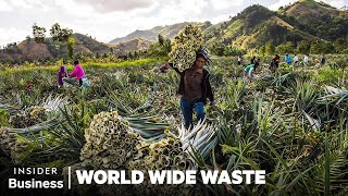 How People Profit Off Pineapple Scraps  World Wide Waste  Insider Business [upl. by Eycats]