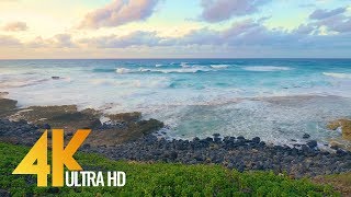 4K Hawaii Ocean Waves Crashing on Beach  Relax Video  Oahu Beaches Episode 4 [upl. by Severn]