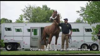 Triple Crown Winner Justify Arrives At WinStar Farm [upl. by Nnadroj789]