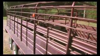 Tour the Economical Model 8117 Livestock Trailer from Featherlite [upl. by Quillon]