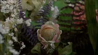 Little Shop Of Horrors 1986 Theatrical Ending [upl. by Aiello105]