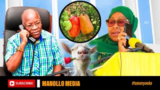 MZIMU WA MAGUFULI WAONEKANA MTWARA SAMIA AWAPA JEURI WAKULIMA WA KOROSHO [upl. by Bolger]