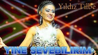 Yıldız Tilbe  Yine Sevebilirim Remix 2024 [upl. by Eded]