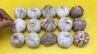 Garlic Is Very Easy To Preserve No Spoilage Shrinkage Or Sprouting Really Effective Method [upl. by Luas]