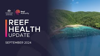 Reef health update  September 2024 [upl. by Haelak]