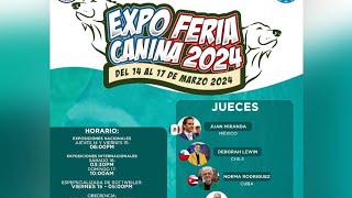 EXPO FERIA CANINA 2024 BIS DÍA 4 17032024 glareices huskysiberianosrd [upl. by Nwahsek]