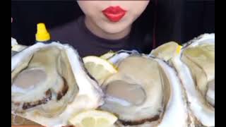 ASMR Giant raw oysters [upl. by Metts]