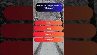 How to Ping a Server in Windows computerbasics [upl. by Ortrude]
