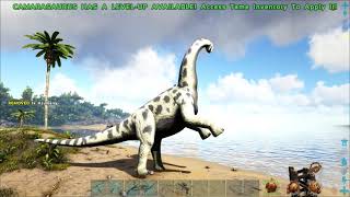 Additional Creatures 2 Spotlight  Camarasaurus  CS15 [upl. by Anela]