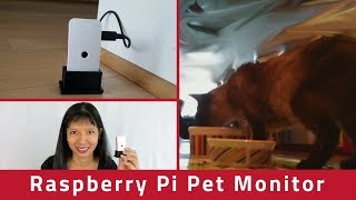 Motion Triggered Pet Monitoring System with Raspberry Pi Zero W [upl. by Nathanil363]