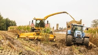 New Holland FR 9060 mais hakselen 2013  Cloet uit Deerlijk [upl. by Aratihc]