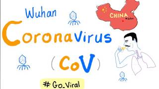 Novel Coronavirus 2019 nCoV 🦠 Outbreak 😷 Update  1 COVID19 [upl. by Ellenehs]