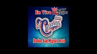 En Vivo 2016 Maldito Amor  Banda Los Costeños De Zirandaro [upl. by Regine]