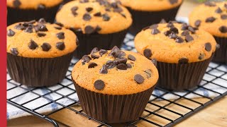 Chocolate Chip Cupcakes  Easy amp Basic Cupcake Recipe 🧁🍫 [upl. by Mikal]