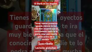 Lecturas del tarot relax meditacion musica amor lecturadecartas lecturadeeltarothoy tarot [upl. by Suoivatnod]