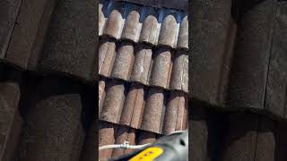 SACRAMENTO ROOF CLEANING SOFTWASH EASY PEEZY [upl. by Kamilah]