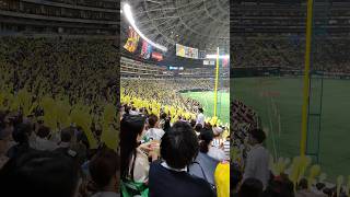 Fukuoka SoftBank Hawks PayPay Dome Fukuoka Japan 🇯🇵 japan fukuoka japanese baseball [upl. by Cullen]