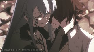 Tatsumi x Esdeath「AMV」 Endless love 😢😞  akame ga kill [upl. by Johnstone621]