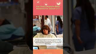 Has Greys Anatomy Been Renewed For Season 21 Shorts tvnews tv [upl. by Schaaff900]