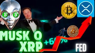 Co powiedział Musk o XRP Decyzja FED a kurs BTC  NOSTR nowa platforma dla krypto  BTC  XRP News [upl. by Rand]