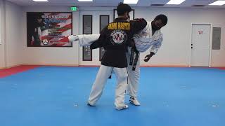 Hapkido High Red Belt One Step Sparring 3 [upl. by Dennard]