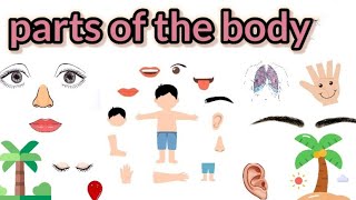 body parts namekidddy topic [upl. by Schindler245]