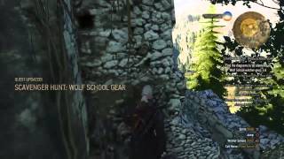 The Witcher 3Wolf School Gear  Where to find the missing crystal [upl. by Il]