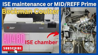 ISE maintenance  MIDREFF Prime  AU480  Electrode  medicallabtechnologysajal6903 [upl. by Adley529]