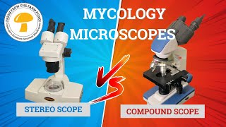 Microscopes in Mycology Stereo vs Compound microscopes [upl. by Darcey]