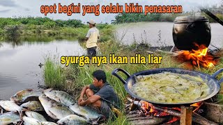 MANCING IKAN NILA LIAR SAAT MANCING KAMI KAGET DENGAN SUARA SAMBARAN [upl. by Wardle]