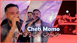 Cheb Momo 2024  مات مات الڤلب لي كان يبغيك avec zinou pachichi [upl. by Haldi]