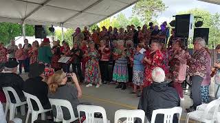 Sweet Dreams Eurythmics by the Ukastle Ukestra at the 2024 Blue Mountains Ukulele Festival [upl. by Keel]