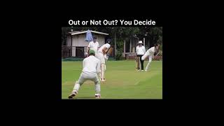 Out or Not Out You Decide cricket localcricket noball [upl. by Savina]